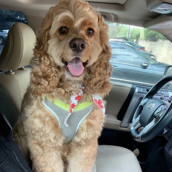 Meet your Posher, Kathy - Picture 5 of 6